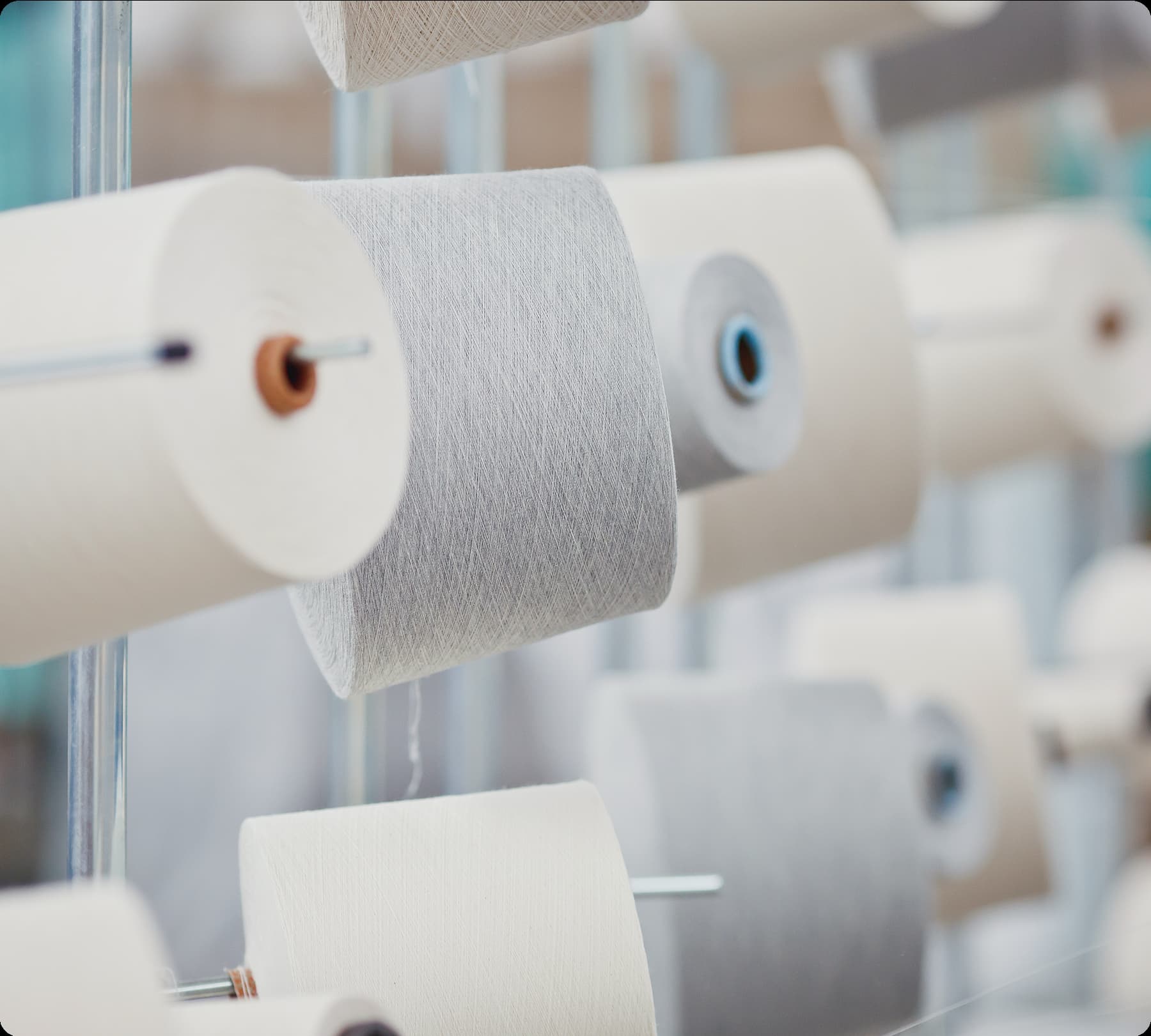 Giới thiệu về công ty dệt Thái Bảo