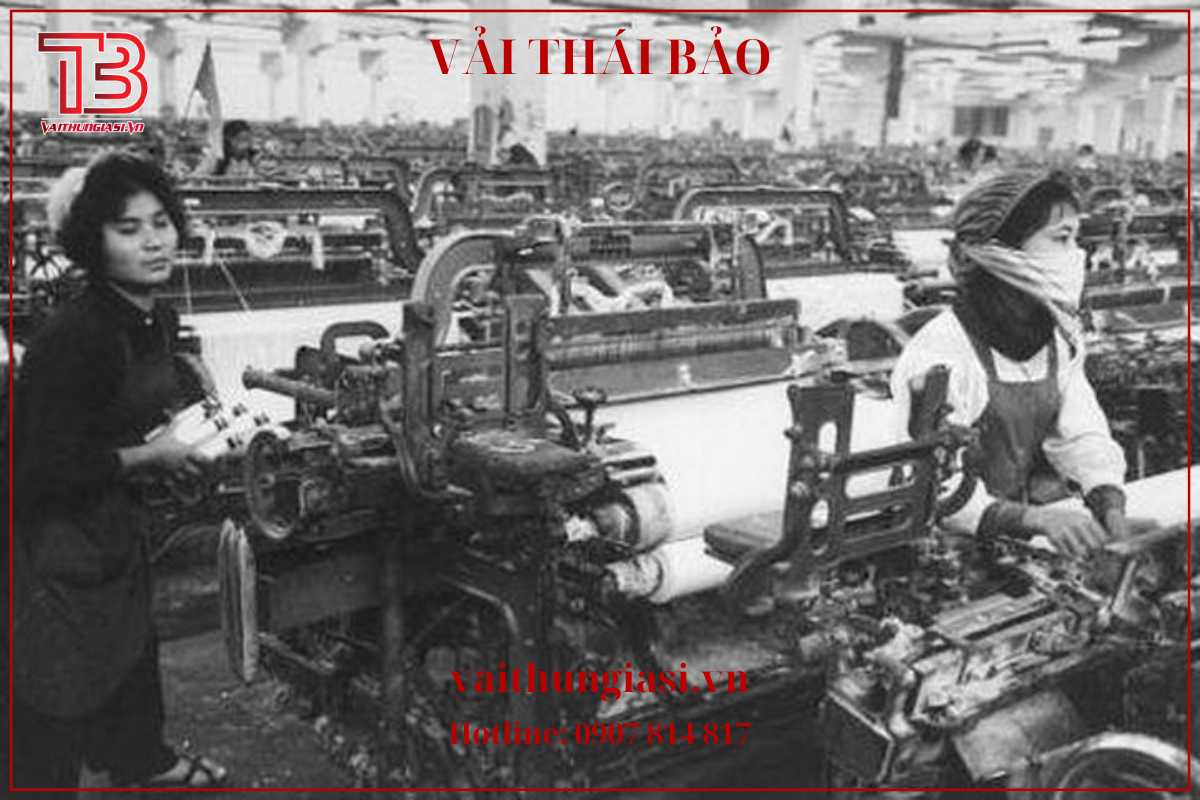 Xưởng dệt thái bảo - VẢI THUN CHẤT LƯỢNG CAO-0