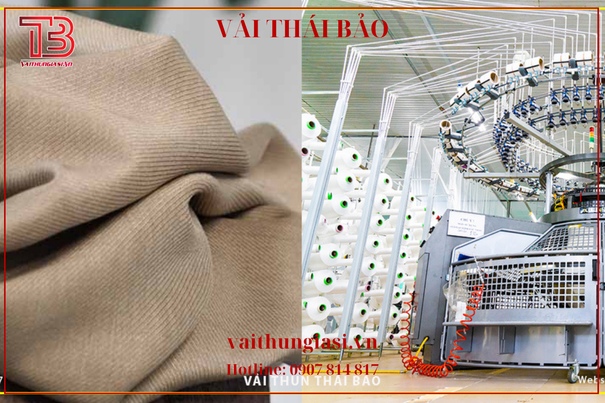 Chuyên cung cấp đơn hàng vải thun lớn Toàn Quốc - Xưởng dệt Thái Bảo HCM -6