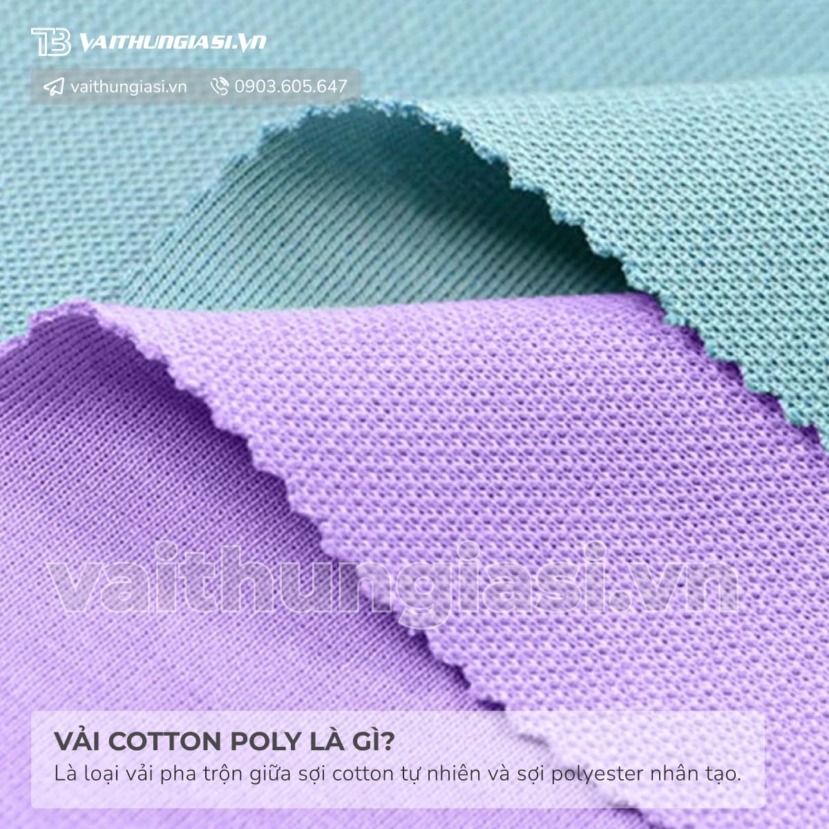 Vải Cotton Poly là gì